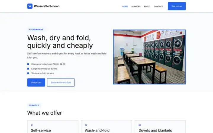 Web para lavandería