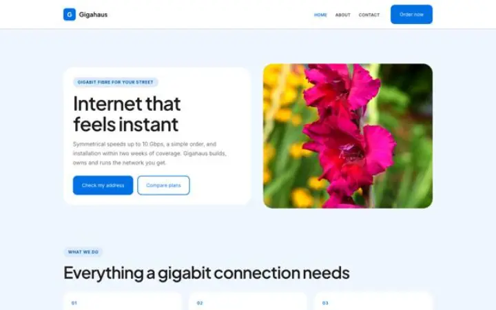 Web para fibra