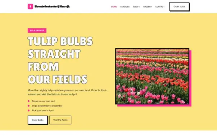 Web para bulbos de tulipán