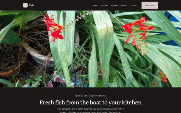 Web para pesca