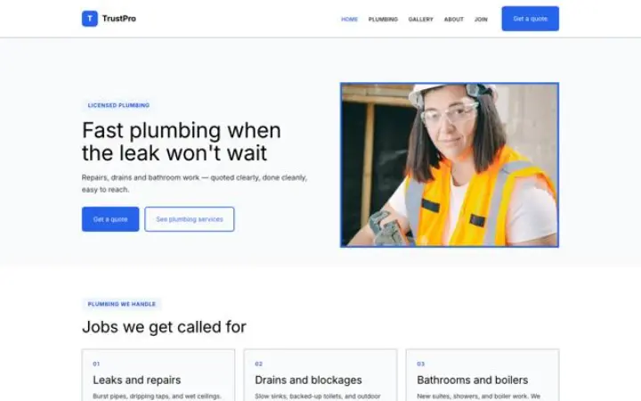 Web para fontanero