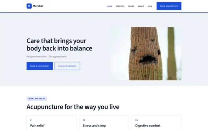 Web para acupuntura