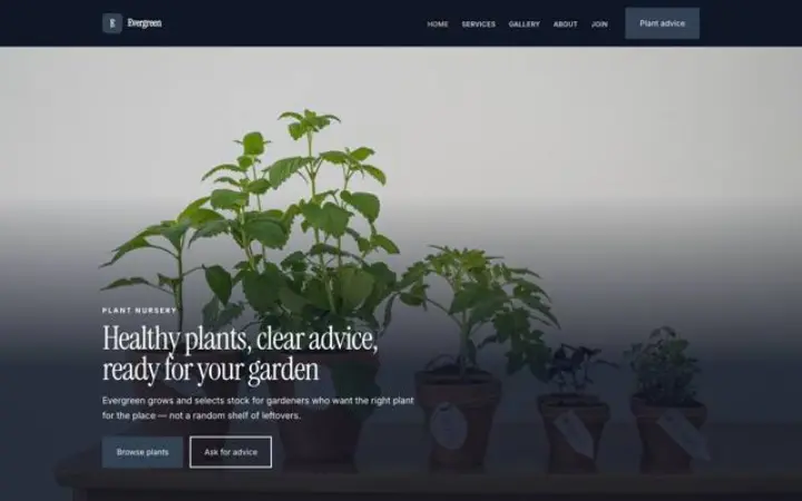 Web para vivero